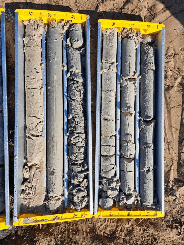 Two trays of core samples filled with cylindrical sections of earth are displayed on a sandy ground. The samples vary in texture, with some sections appearing smooth and others crumbled. The trays have yellow edges with markings on them.